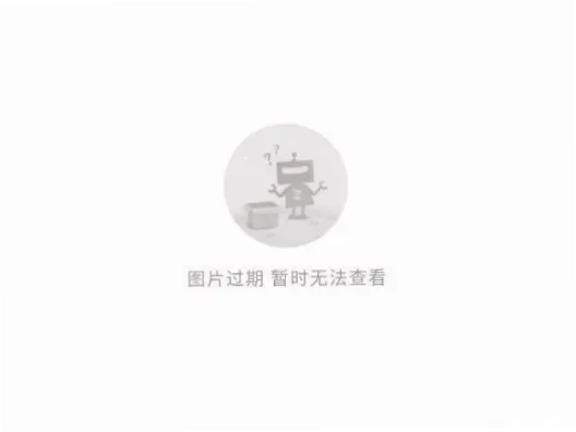 美加墨世界杯Fan Fest：球迷狂欢的免费户外盛会